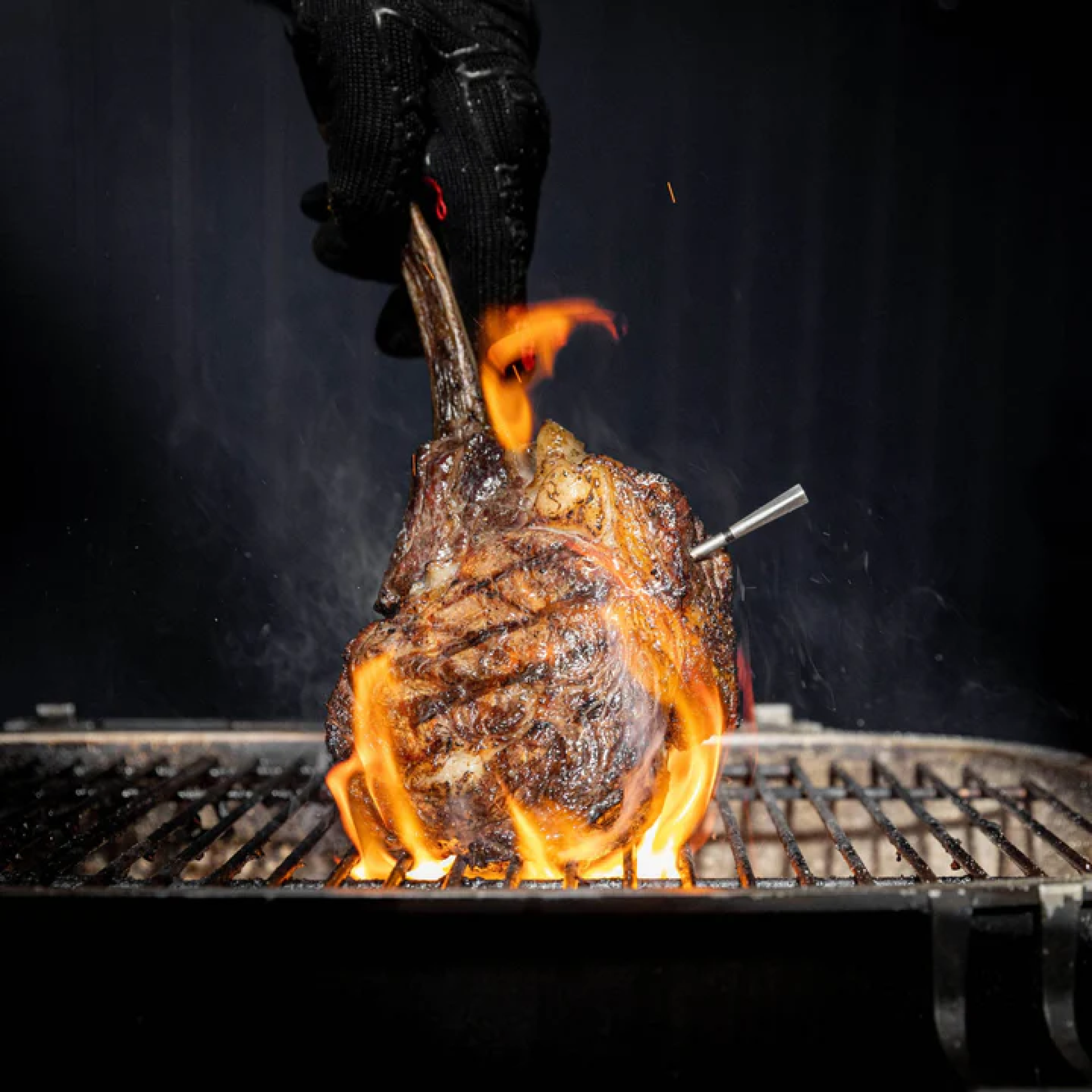 Meater Pro